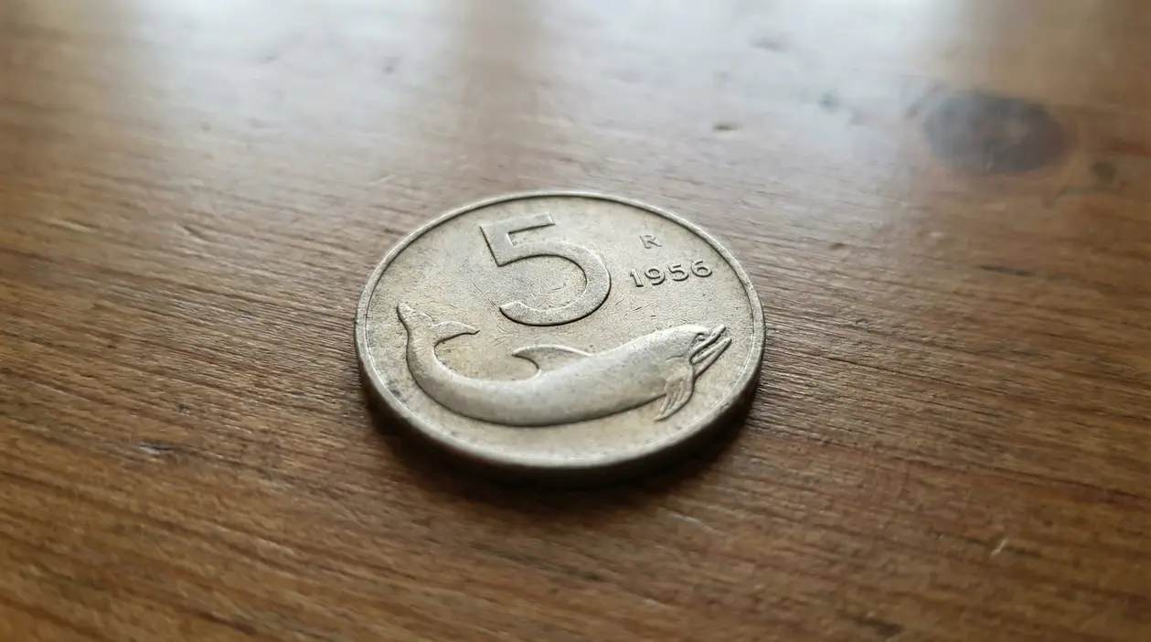 Moneta da 5 lire italiane con delfino del 1956 su superficie in legno